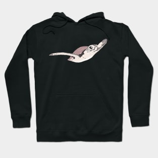 Animal Vignette: Sea Turtle Hoodie